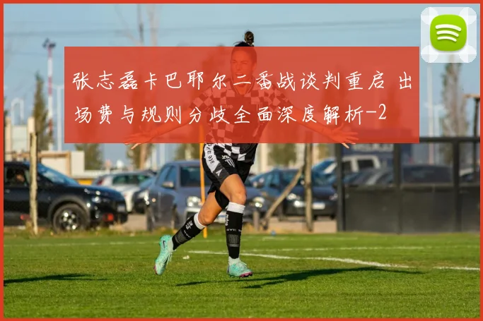 张志磊卡巴耶尔二番战谈判重启 出场费与规则分歧全面深度解析