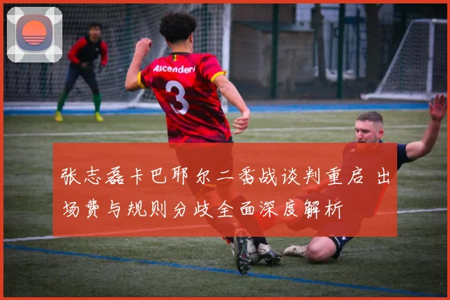 张志磊卡巴耶尔二番战谈判重启 出场费与规则分歧全面深度解析